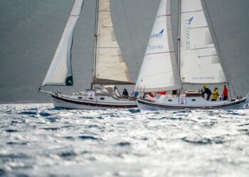 Tırhandil Cup Kış Trofesi Başladı / CodeZero.Media
