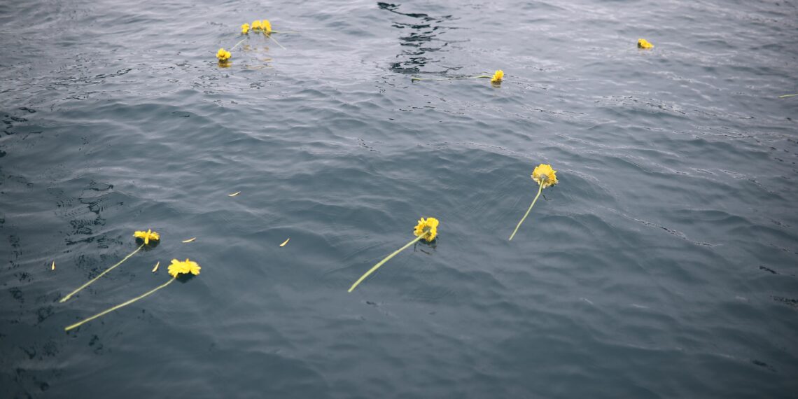 EGE’DE YARIŞ ŞÖLENİ (!)