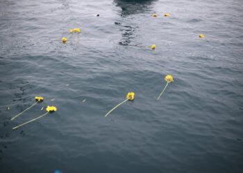 EGE’DE YARIŞ ŞÖLENİ (!)