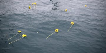 EGE’DE YARIŞ ŞÖLENİ (!)