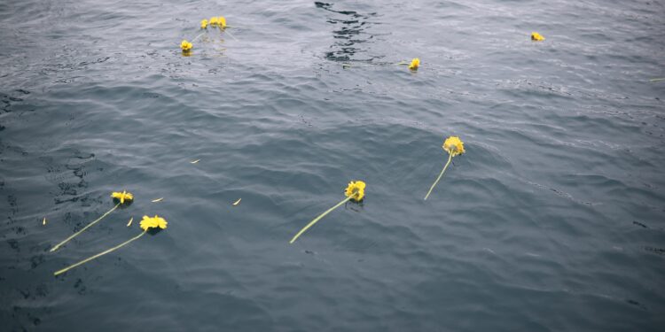 EGE’DE YARIŞ ŞÖLENİ (!)