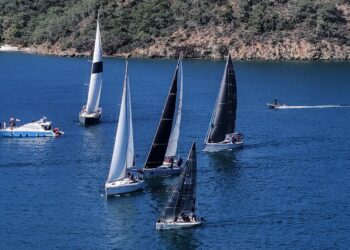 Göcek Kış Trofesi Yaş Fidan