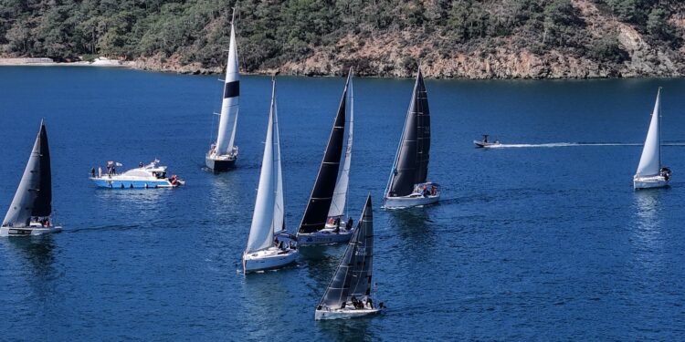 Göcek Kış Trofesi Yaş Fidan